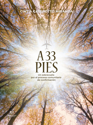 cover image of A 33 pies
